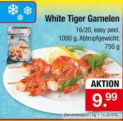 Zimmermann White tiger garnelen Angebot