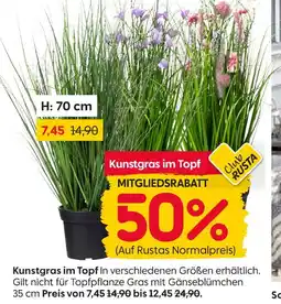 Rusta Kunstgras im topf Angebot