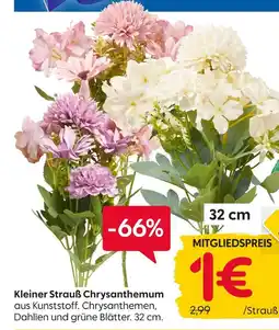 Rusta Kleiner strauß chrysanthemum Angebot