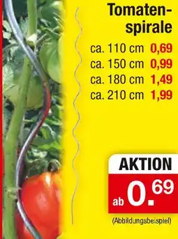 Zimmermann Tomatenspirale Angebot