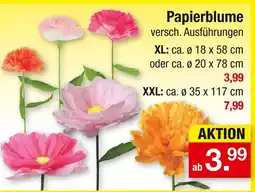 Zimmermann Papierblume Angebot