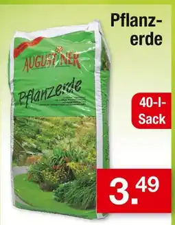 Zimmermann Augustiner pflanzerde Angebot