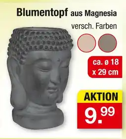 Zimmermann Blumentopf aus magnesia Angebot
