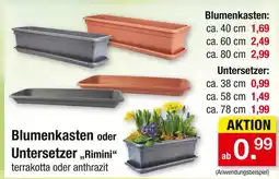 Zimmermann Blumenkasten oder untersetzer „rimini“ Angebot