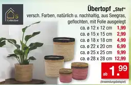Zimmermann Ts collection übertopf „stef“ Angebot