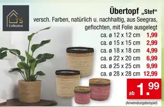 Zimmermann Ts collection übertopf „stef“ Angebot