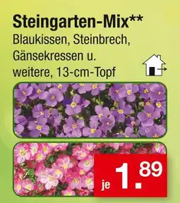 Zimmermann Steingarten-mix Angebot