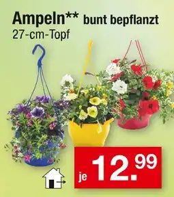 Zimmermann Ampeln bunt bepflanzt Angebot
