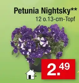 Zimmermann Petunia nightsky Angebot