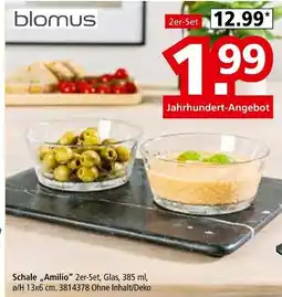 Segmüller Blomus schale „amilio“ Angebot