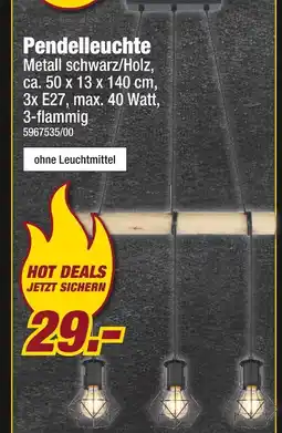 Poco Pendelleuchte Angebot