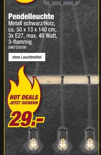 Poco Pendelleuchte Angebot