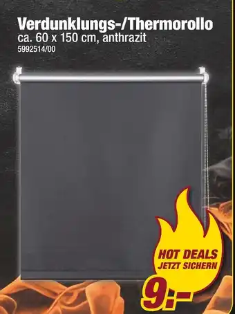 Poco Verdunklungs-/thermorollo Angebot