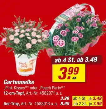 toom Baumarkt Gartennelke „pink kisses“ oder „peach party“ Angebot