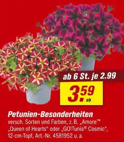 toom Baumarkt Petunien-besonderheiten Angebot