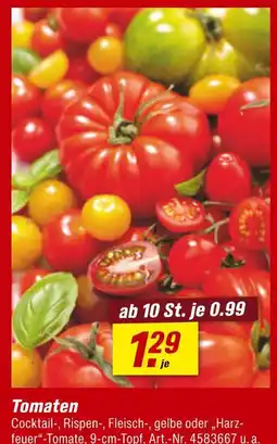 toom Baumarkt Tomaten Angebot