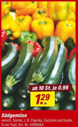 toom Baumarkt Südgemüse Angebot