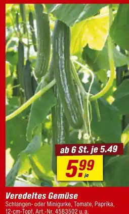 toom Baumarkt Veredeltes gemüse Angebot
