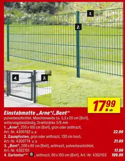 toom Baumarkt Einstabmatte „arne“/„bent“ Angebot