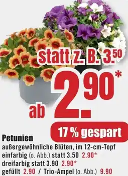 B1 Discount Baumarkt Petunien Angebot