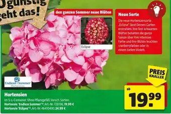 Hagebau Endless summer hortensien Angebot