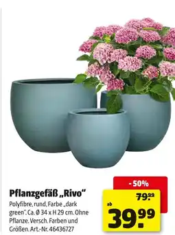 Hagebau Pflanzgefäß rivo Angebot