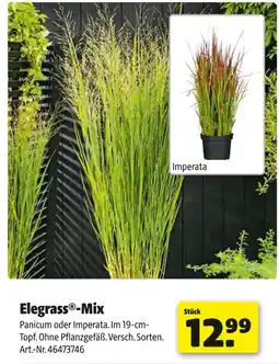 Hagebau Elegraß-mix Angebot