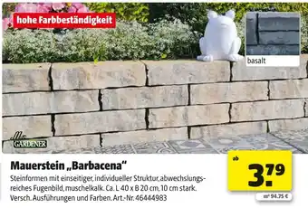 Hagebau Mr. gardener mauerstein „barbacena“ Angebot