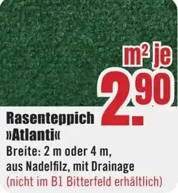 B1 Discount Baumarkt Rasenteppich Atlanti Angebot