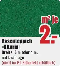 B1 Discount Baumarkt Rasenteppich Alteria Angebot