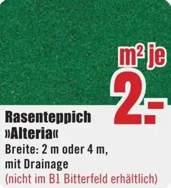B1 Discount Baumarkt Rasenteppich Alteria Angebot