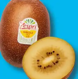 Aldi Süd Zespri Goldene Kiwi Angebot