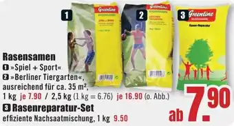 B1 Discount Baumarkt Rasensamen oder Rasenreparatur-Set Angebot