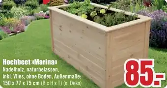 B1 Discount Baumarkt Hochbeet Marina Angebot
