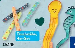 Aldi Süd Crane Tauchzubehör Angebot