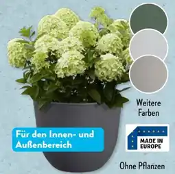 Aldi Süd Belavi Pflanzgefäß Angebot
