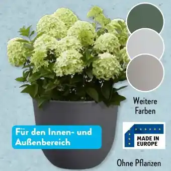 Aldi Süd Belavi Pflanzgefäß Angebot