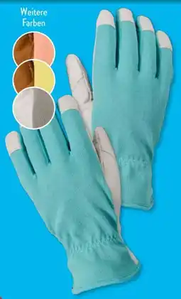 Aldi Süd Gardenline Gartenhandschuhe Angebot