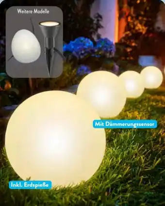 Aldi Süd Casalux Solar-Bodenlichterkette Angebot