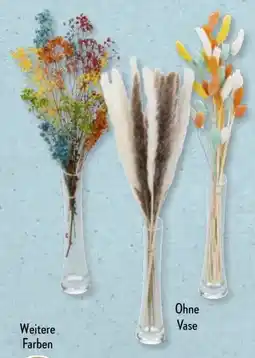 Aldi Süd Home Creation Trockenblumen Angebot