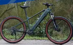 Aldi Süd Prophete E-Mountainbike Dice 1.3 Angebot
