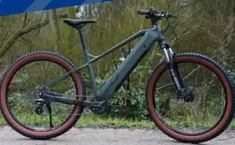 Aldi Süd Prophete E-Mountainbike Dice 1.3 Angebot
