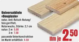 B1 Discount Baumarkt Universaldiele Douglasie Angebot