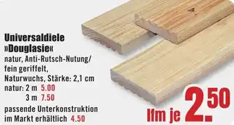 B1 Discount Baumarkt Universaldiele Douglasie Angebot