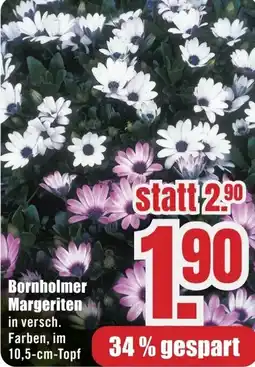 B1 Discount Baumarkt Bornholmer Margeriten Angebot