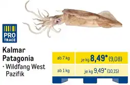 METRO Kalmar Patagonia Angebot