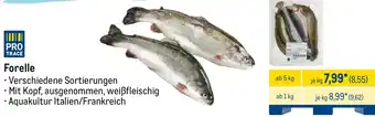 METRO Forelle Angebot