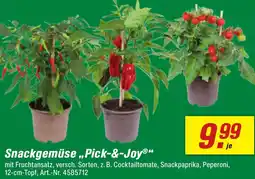 toom Baumarkt Snackgemüse ,,Pick-&-Joy" Angebot
