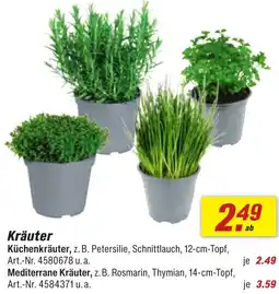 toom Baumarkt Kräuter Angebot