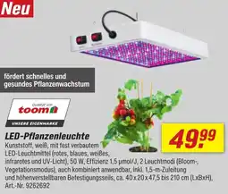toom Baumarkt LED-Pflanzenleuchte Angebot